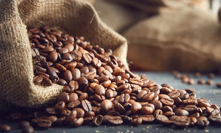 Specialty Coffee Beans for Rich Flavour and Premium Coffee Quality