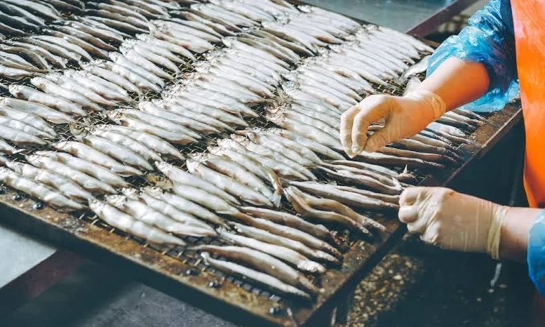 Partnering with a Frozen Shrimp Processer for Commercial Seafood Production